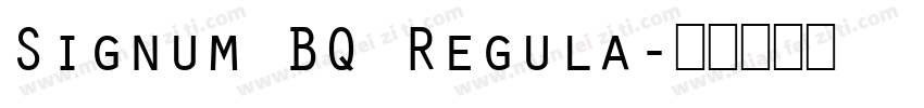 Signum BQ Regula字体转换